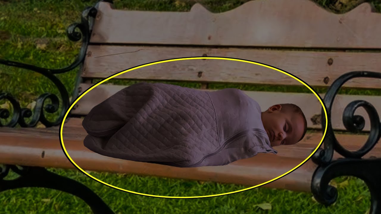 I Found a Crying Baby Abandoned on a Bench – When I Learned Who He Was, My Life Turned Upside Down