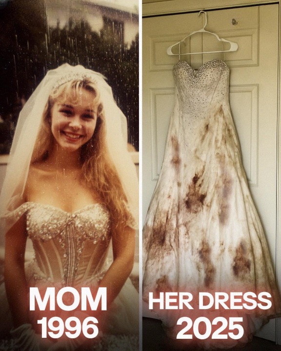 Future SIL Borrowed My Late Mom’s Wedding Dress – What She Did to It Crushed Me to the Core
