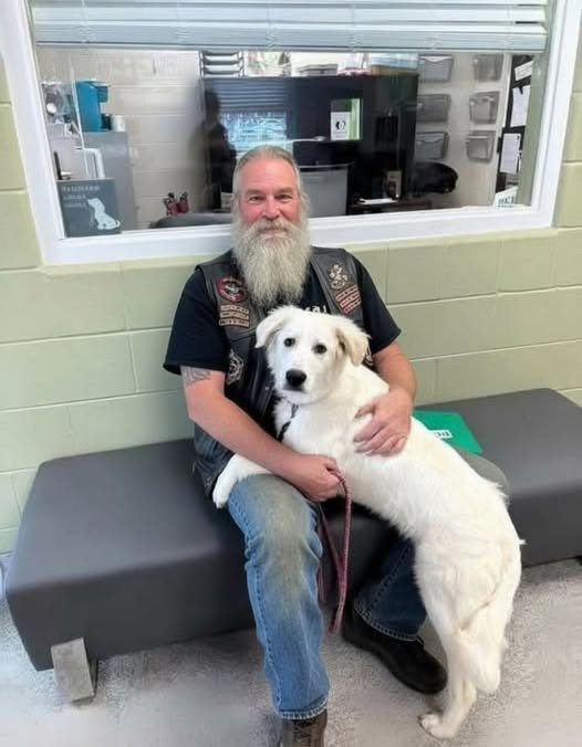 Biker’s Ride Takes a Turn When He Finds a Dog Left Behind